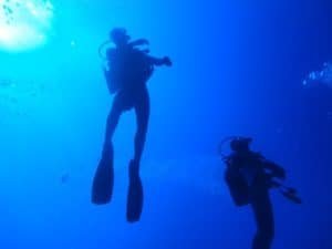 Divers On The Zenobia